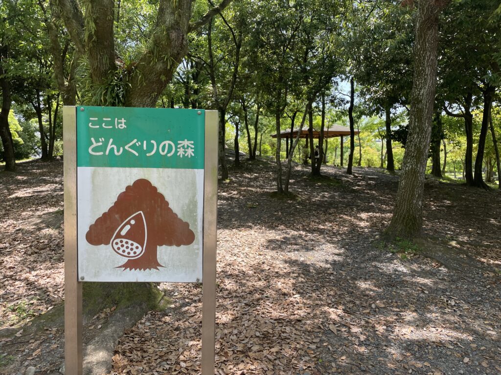 美薗中央公園どんぐり