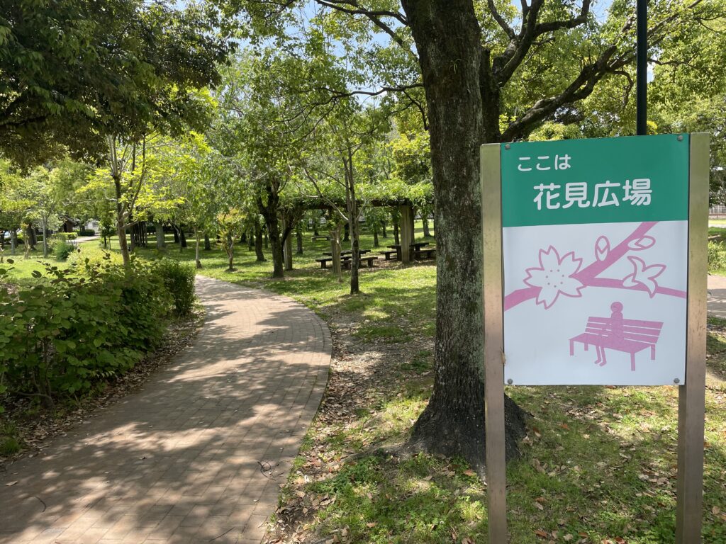 美薗中央公園花見