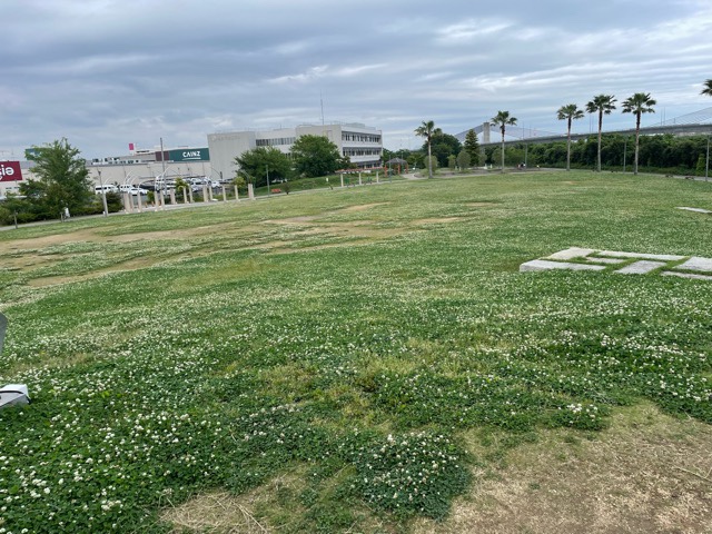 堀出前中央公園広場