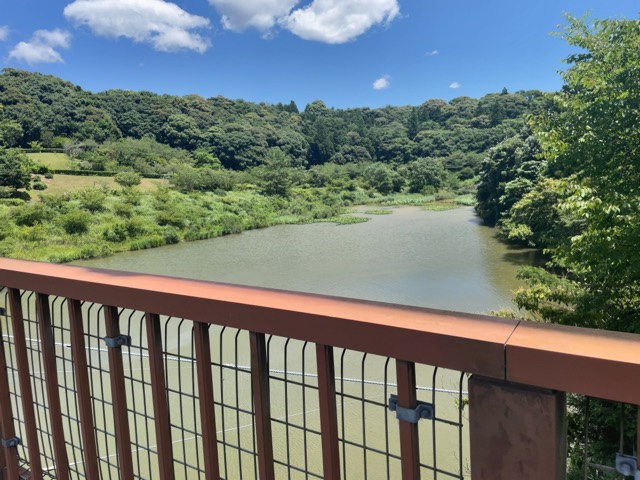 都田総合公園吊り橋